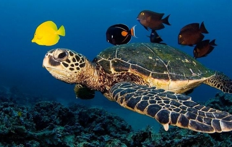 LİKYA TURU 3 GECE 4 GÜN