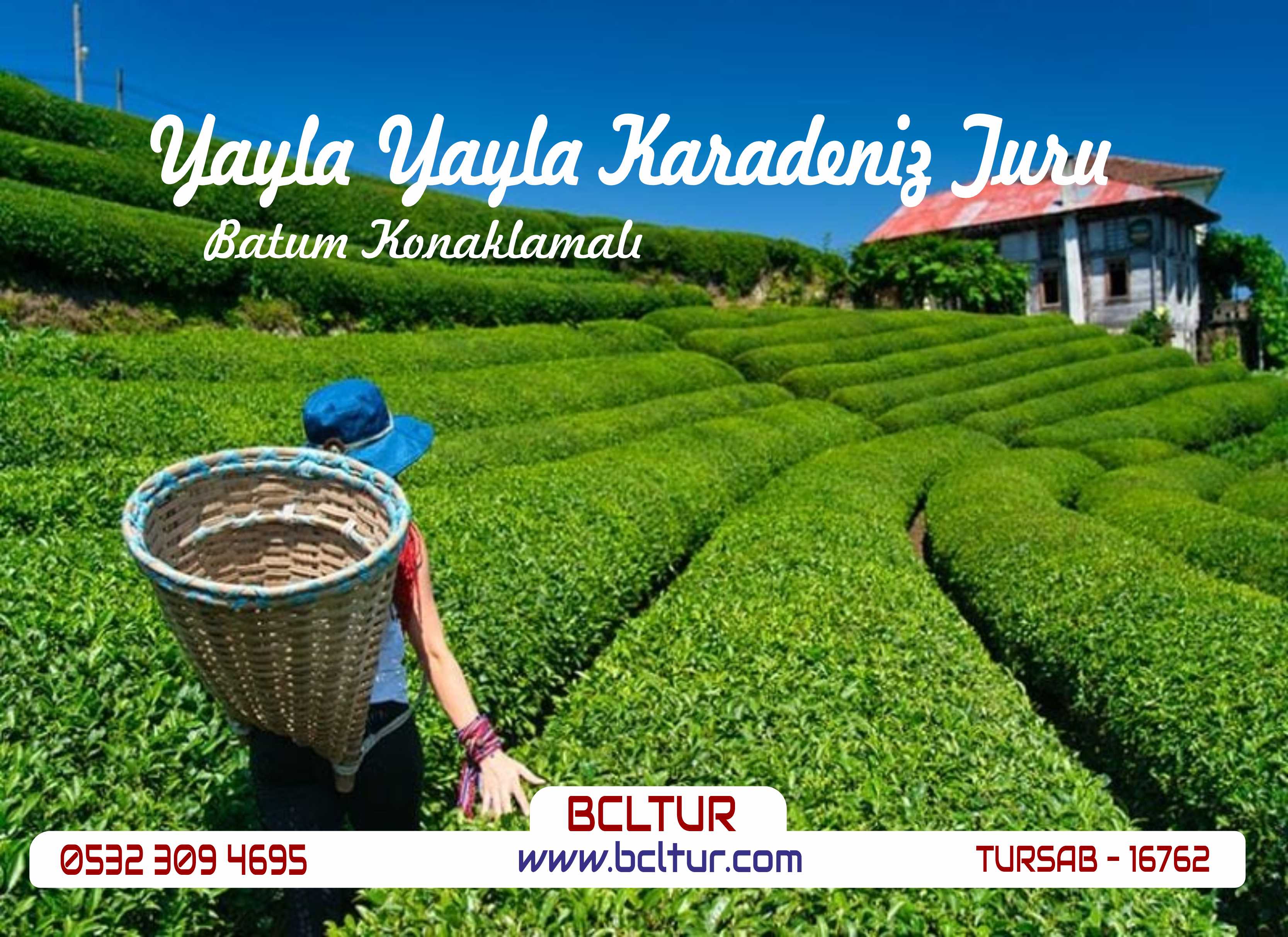 YAYLA YAYLA ÖZEL KARADENİZ TURU BCL