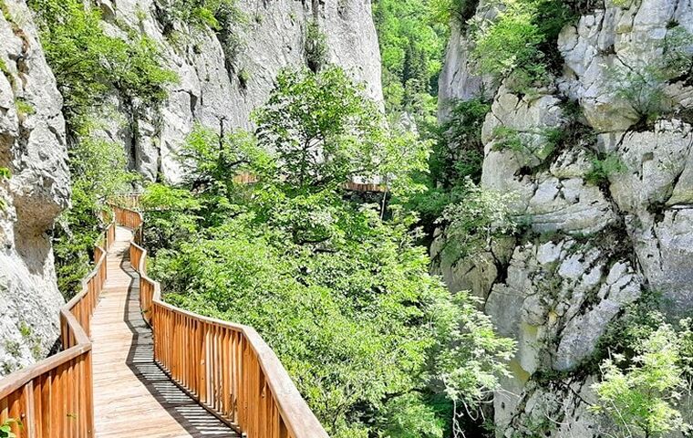 YAYLA YAYLA ÖZEL KARADENİZ TURU BCL