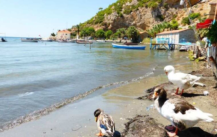 Anneler Günü Didim